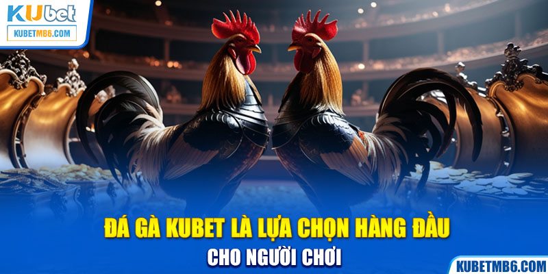 Đá gà KUBET là lựa chọn hàng đầu cho người chơi